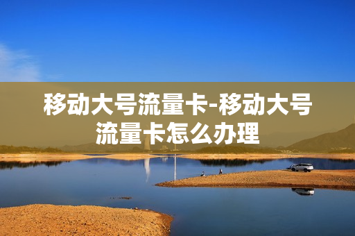 移动大号流量卡-移动大号流量卡怎么办理
