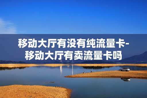 移动大厅有没有纯流量卡-移动大厅有卖流量卡吗