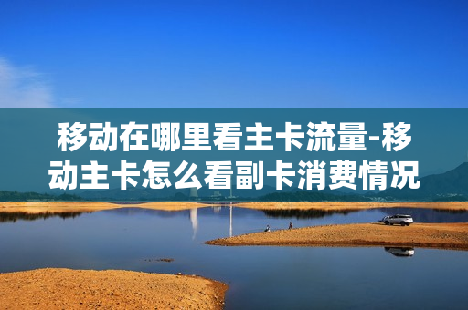 移动在哪里看主卡流量-移动主卡怎么看副卡消费情况