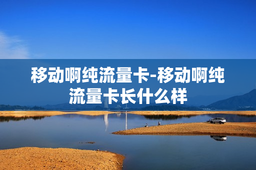 移动啊纯流量卡-移动啊纯流量卡长什么样