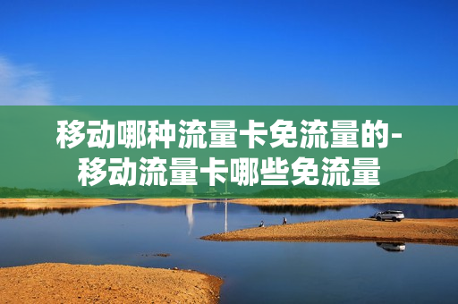 移动哪种流量卡免流量的-移动流量卡哪些免流量