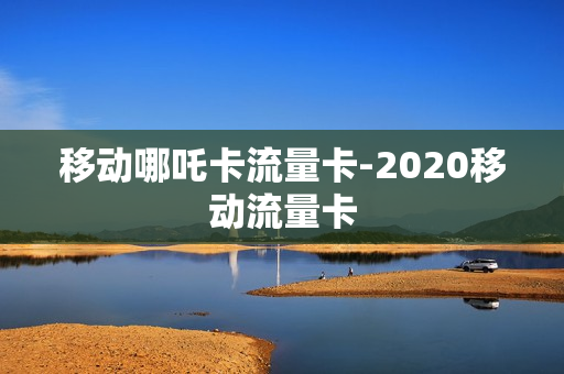 移动哪吒卡流量卡-2020移动流量卡