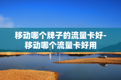 移动哪个牌子的流量卡好-移动哪个流量卡好用