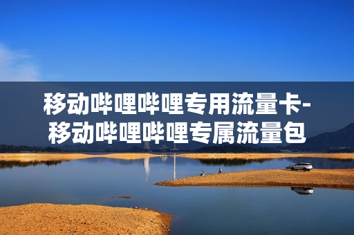 移动哔哩哔哩专用流量卡-移动哔哩哔哩专属流量包