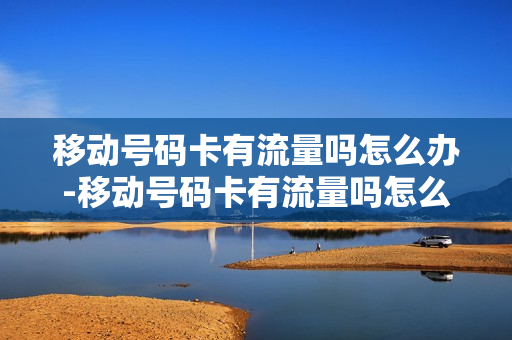 移动号码卡有流量吗怎么办-移动号码卡有流量吗怎么办理
