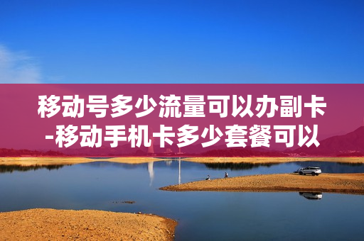移动号多少流量可以办副卡-移动手机卡多少套餐可以办副卡