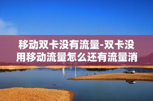 移动双卡没有流量-双卡没用移动流量怎么还有流量消耗呢