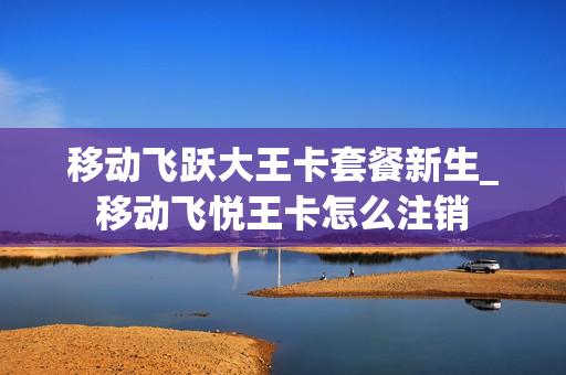 移动飞跃大王卡套餐新生_移动飞悦王卡怎么注销