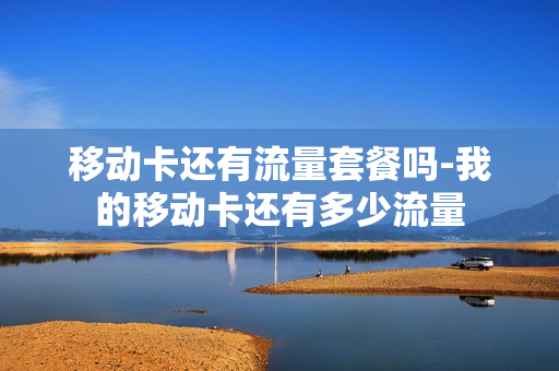 移动卡还有流量套餐吗-我的移动卡还有多少流量