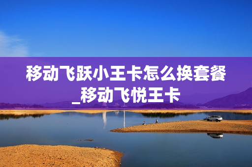 移动飞跃小王卡怎么换套餐_移动飞悦王卡