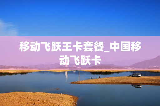 移动飞跃王卡套餐_中国移动飞跃卡