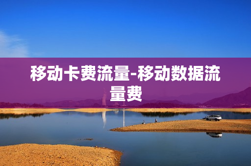 移动卡费流量-移动数据流量费