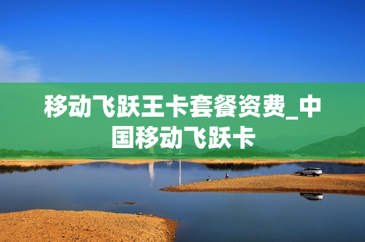 移动飞跃王卡套餐资费_中国移动飞跃卡