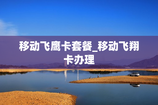 移动飞鹰卡套餐_移动飞翔卡办理