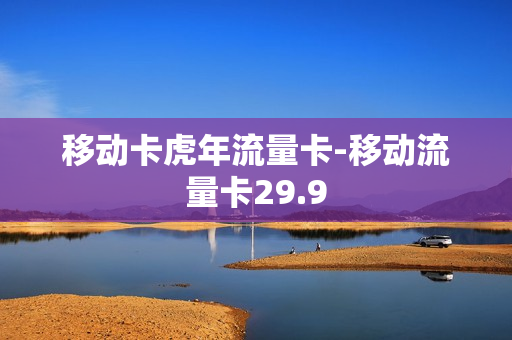 移动卡虎年流量卡-移动流量卡29.9