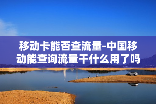 移动卡能否查流量-中国移动能查询流量干什么用了吗
