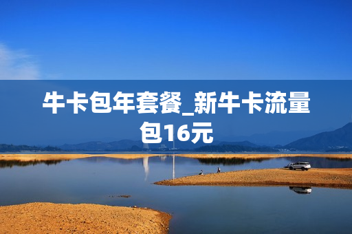 牛卡包年套餐_新牛卡流量包16元