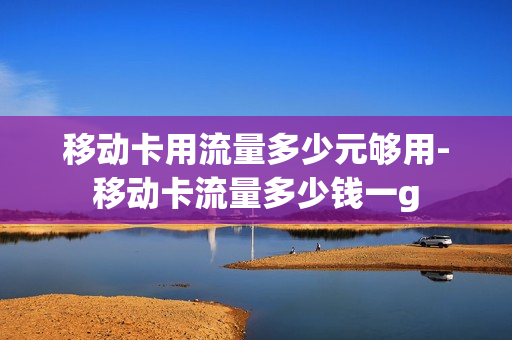 移动卡用流量多少元够用-移动卡流量多少钱一g