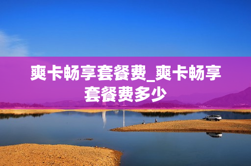 爽卡畅享套餐费_爽卡畅享套餐费多少