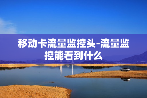 移动卡流量监控头-流量监控能看到什么