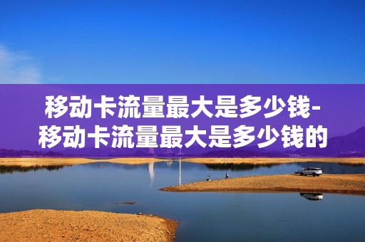 移动卡流量最大是多少钱-移动卡流量最大是多少钱的