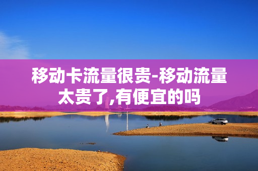 移动卡流量很贵-移动流量太贵了,有便宜的吗