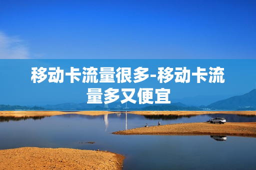 移动卡流量很多-移动卡流量多又便宜