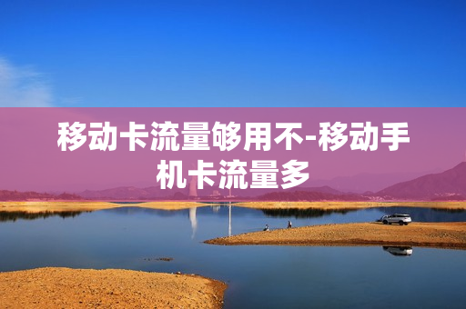 移动卡流量够用不-移动手机卡流量多