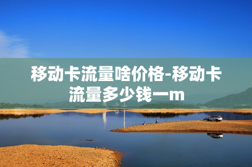 移动卡流量啥价格-移动卡流量多少钱一m