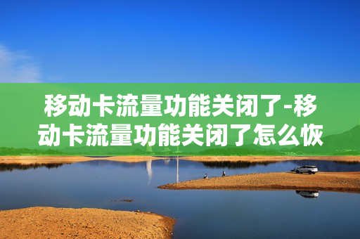 移动卡流量功能关闭了-移动卡流量功能关闭了怎么恢复