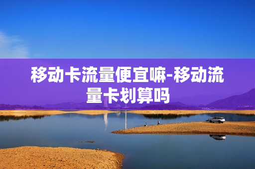 移动卡流量便宜嘛-移动流量卡划算吗