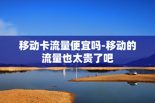 移动卡流量便宜吗-移动的流量也太贵了吧