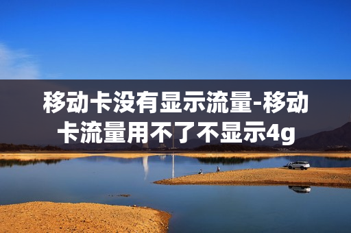 移动卡没有显示流量-移动卡流量用不了不显示4g