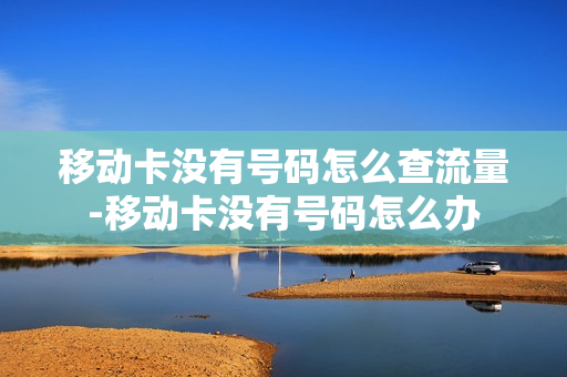 移动卡没有号码怎么查流量-移动卡没有号码怎么办