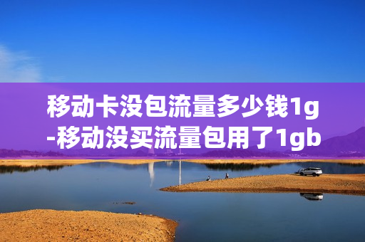 移动卡没包流量多少钱1g-移动没买流量包用了1gb花了多少钱