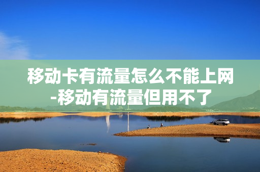 移动卡有流量怎么不能上网-移动有流量但用不了