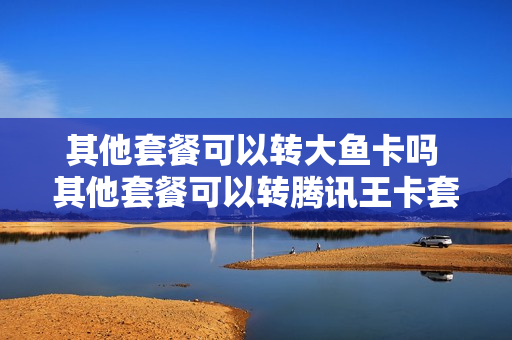 其他套餐可以转大鱼卡吗 其他套餐可以转腾讯王卡套餐吗