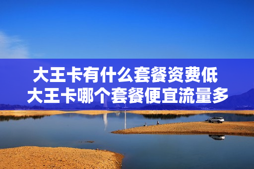 大王卡有什么套餐资费低 大王卡哪个套餐便宜流量多