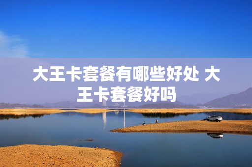 大王卡套餐有哪些好处 大王卡套餐好吗