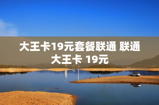 大王卡19元套餐联通 联通大王卡 19元