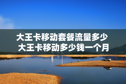 大王卡移动套餐流量多少 大王卡移动多少钱一个月
