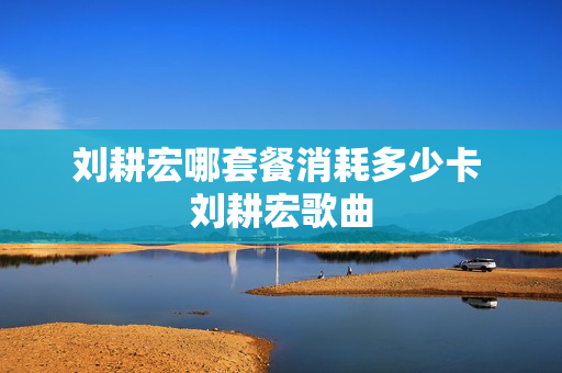 刘耕宏哪套餐消耗多少卡 刘耕宏歌曲