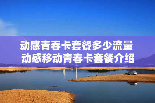 动感青春卡套餐多少流量 动感移动青春卡套餐介绍