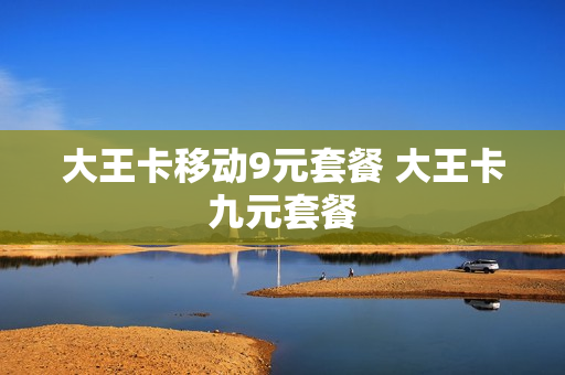 大王卡移动9元套餐 大王卡九元套餐