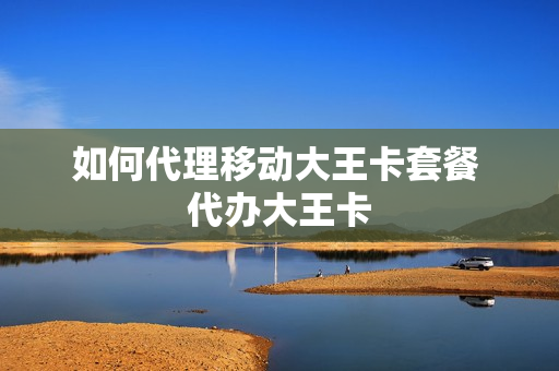 如何代理移动大王卡套餐 代办大王卡