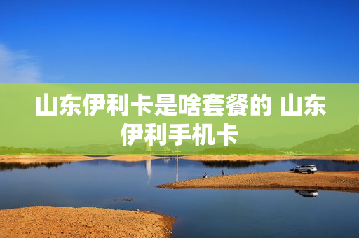 山东伊利卡是啥套餐的 山东伊利手机卡