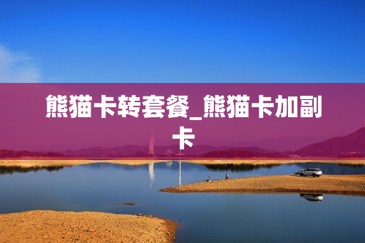熊猫卡转套餐_熊猫卡加副卡