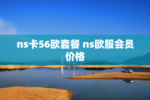 ns卡56欧套餐 ns欧服会员价格