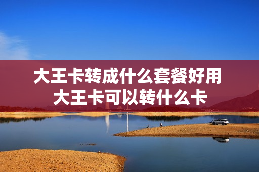 大王卡转成什么套餐好用 大王卡可以转什么卡