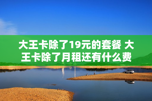 大王卡除了19元的套餐 大王卡除了月租还有什么费